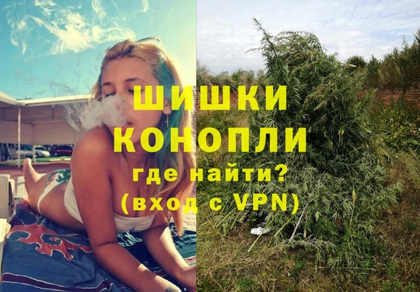 кокс Елизово