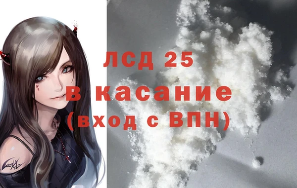 кокс Елизово