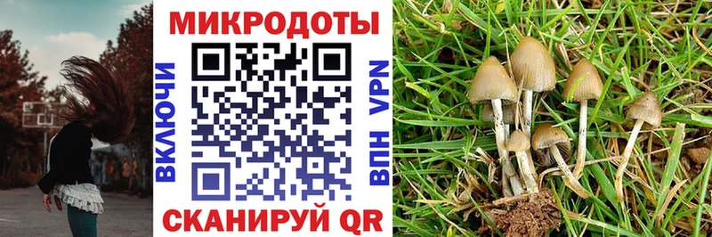 Купить закладки  Тотьма  Псилоцибиновые грибы Cubensis 